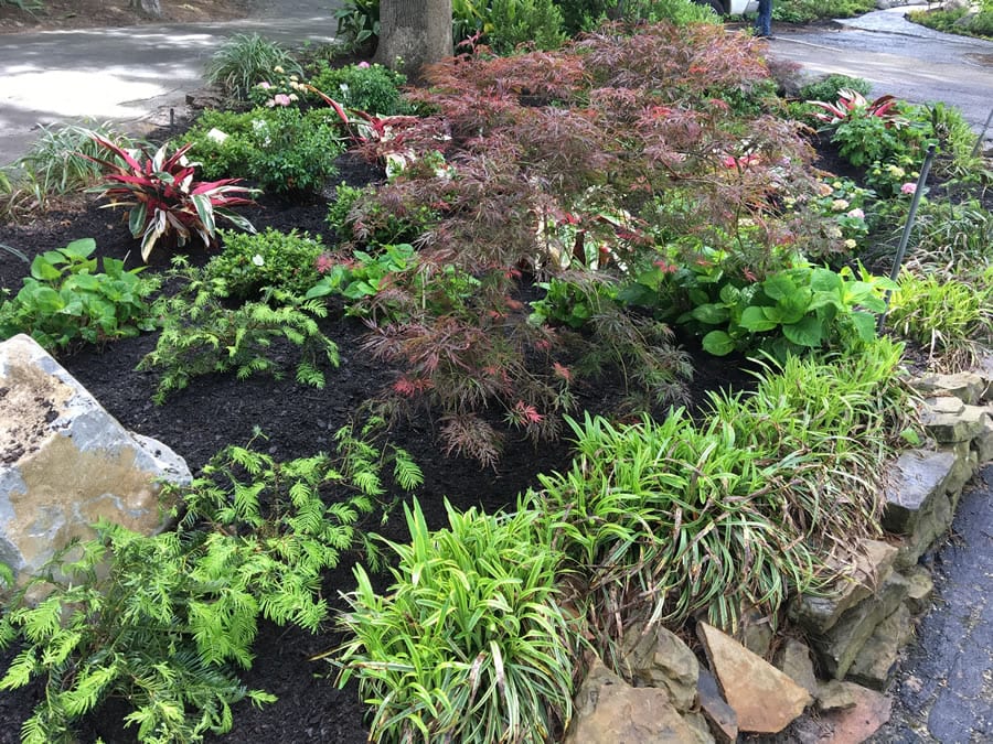 Lake Cypress Springs Landscaping and Flowerbeds